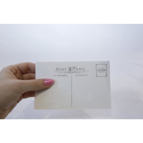 Best Wishes for a Happy Thanksgiving, Children with Turkeys, Rare Postcard, - Picture 2 of 2